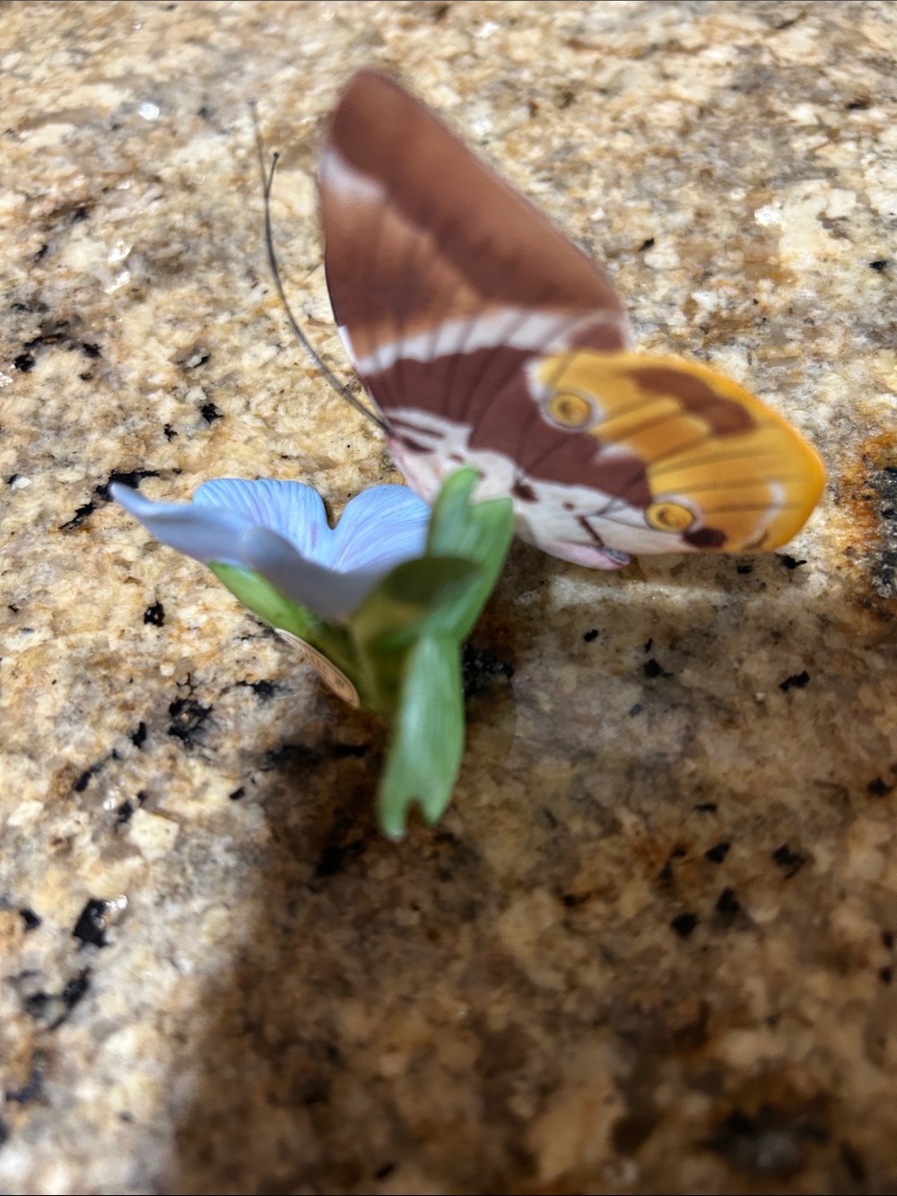 Franklin Mint Tufted Jungle King Butterfly porcelain figurine, 2.75” - Picture 7 of 8